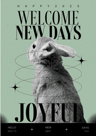 Affiche avec une photo en niveaux de gris d'un lapin au centre, sur fond vert olive pâle, titrée "welcome new days".